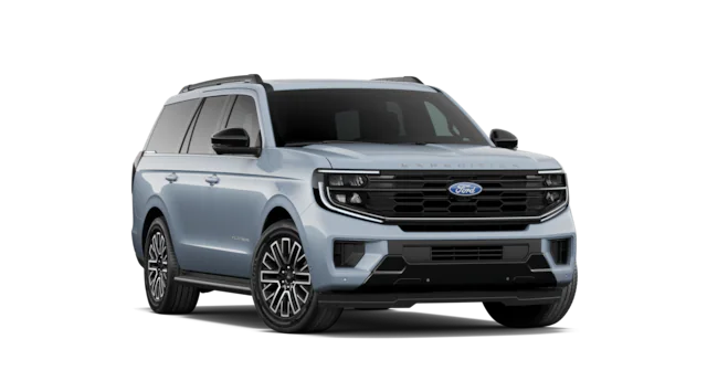 Platinum trim image